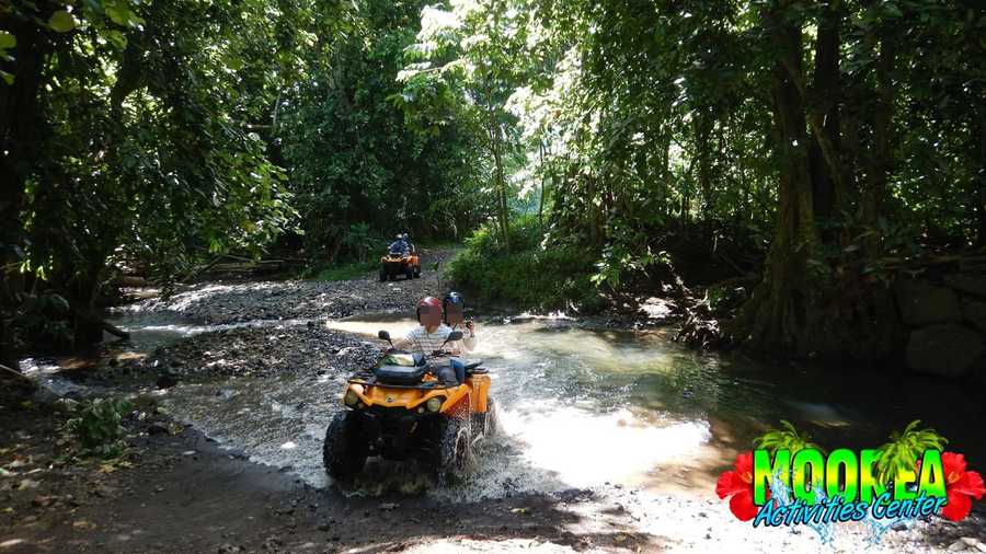 20 moorea atv