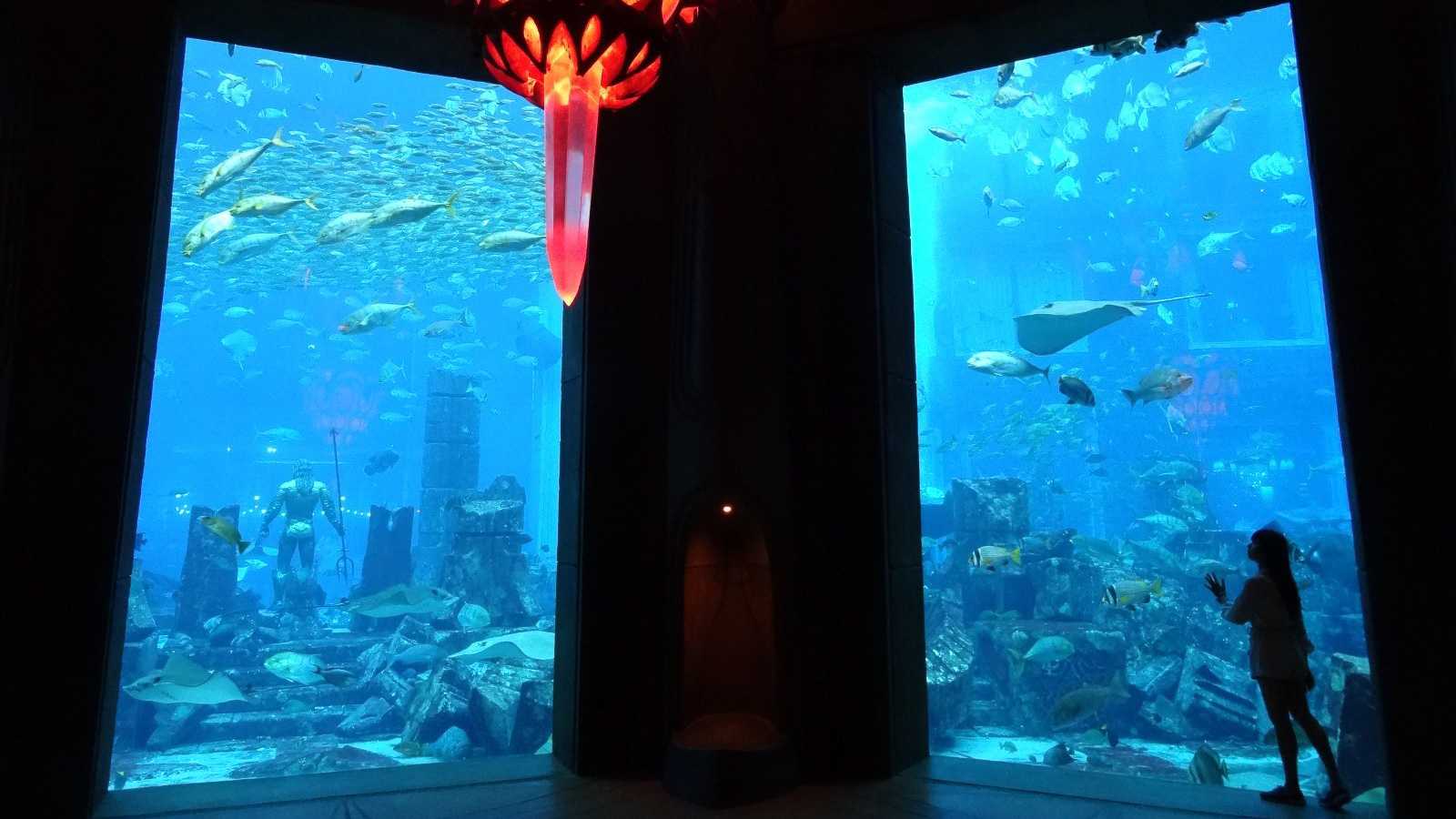 【杜拜．亞特蘭提斯水族館】神祕的失落空間！見證沉沒海底的古文明~亞特蘭提斯～ Lost Chamber Aquarium