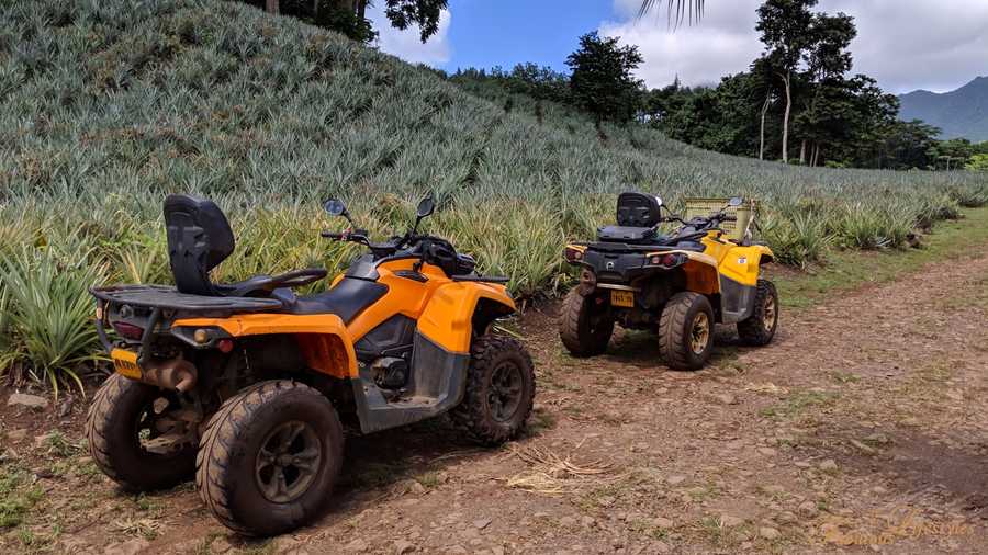 01 moorea atv