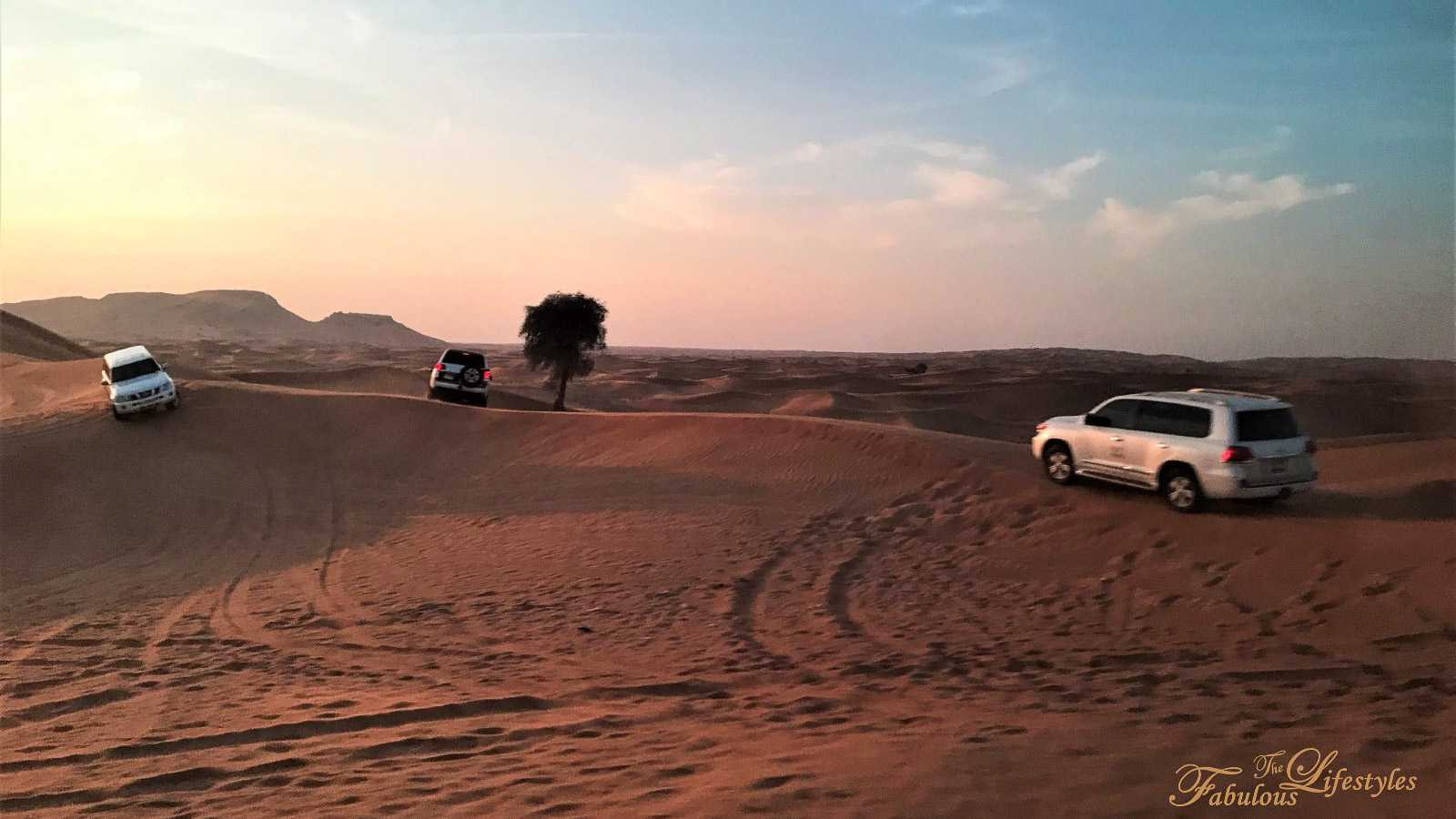 【杜拜．Dubai】杜拜必去沙漠衝沙｜跟團小心踩到雷? ｜Desert Safari