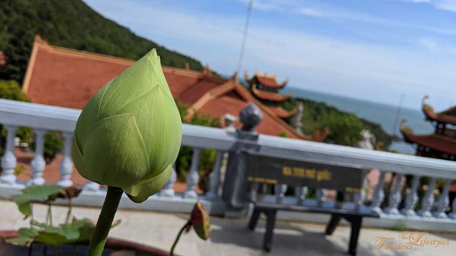 10 phu quoc pagoda