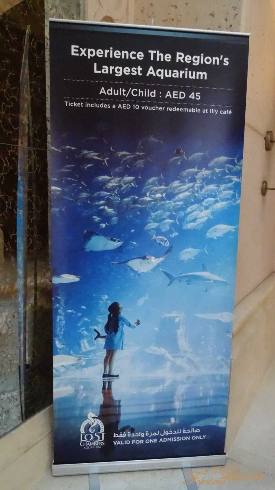 21 lost chamber aquarium