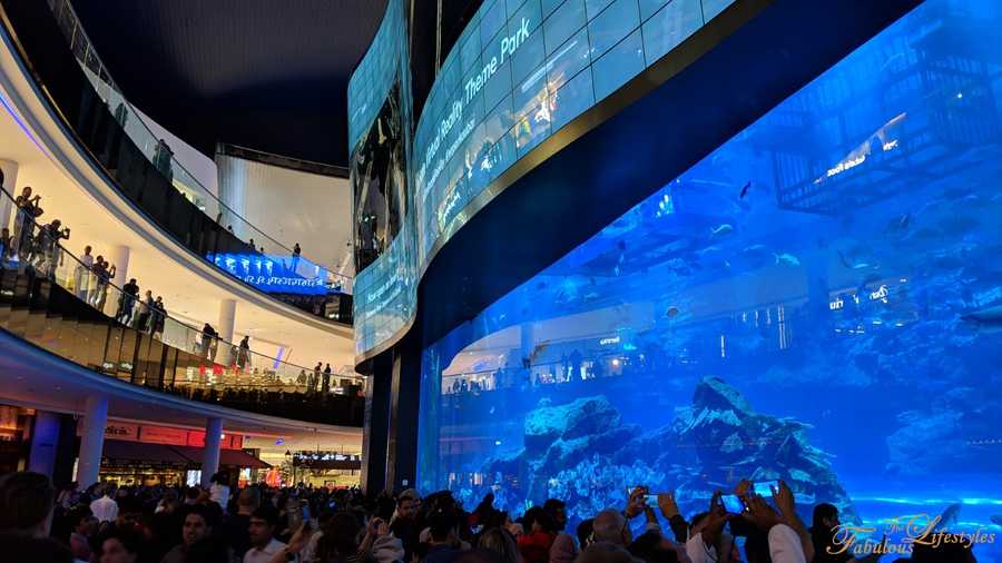 08 dubai mall