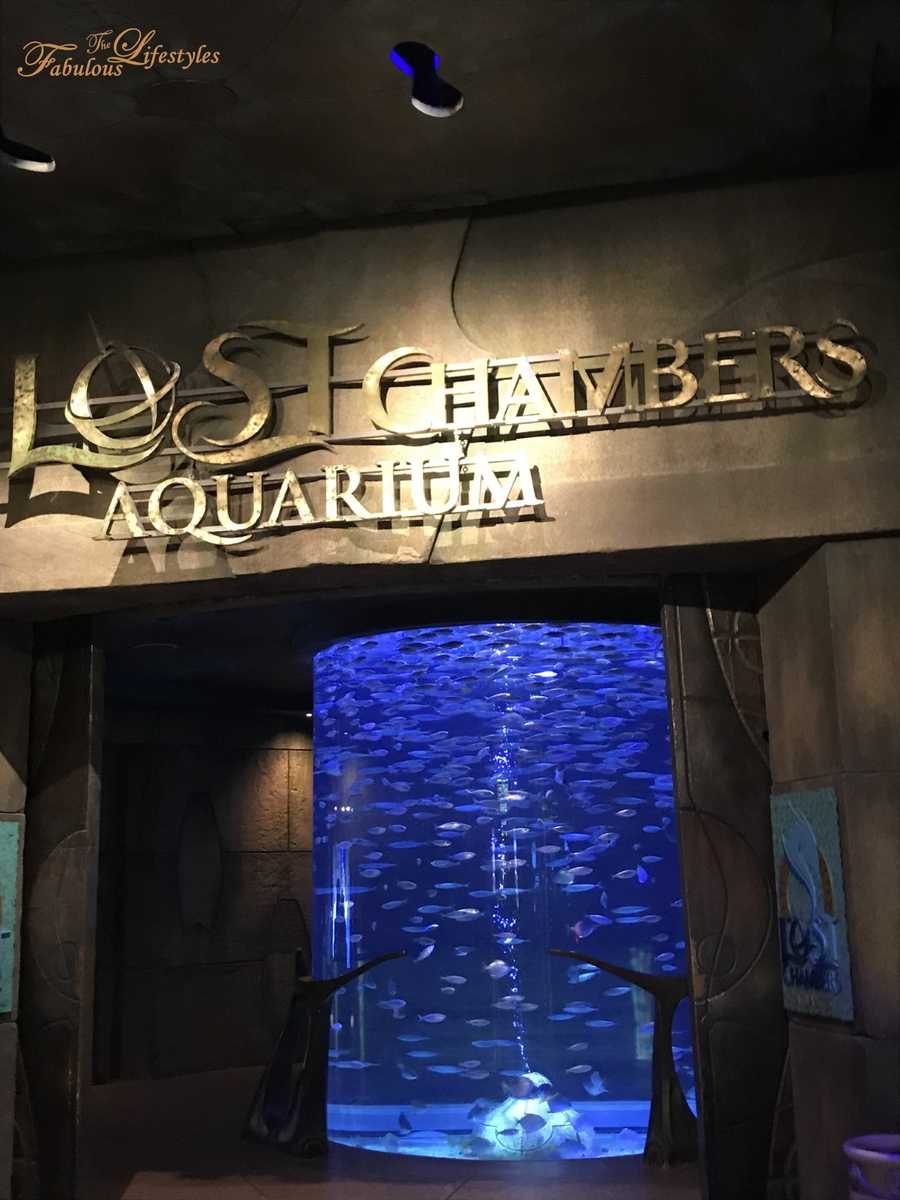 03 lost chamber aquarium